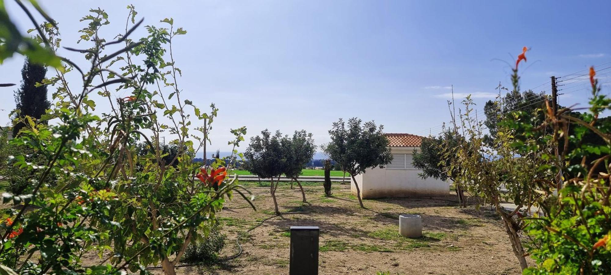 Shanti Paphos Villa Extérieur photo