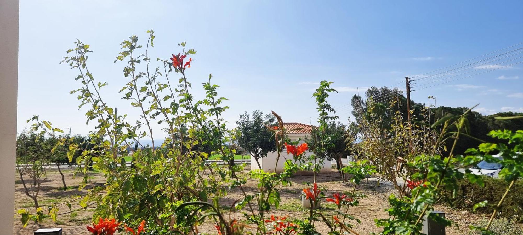 Shanti Paphos Villa Extérieur photo