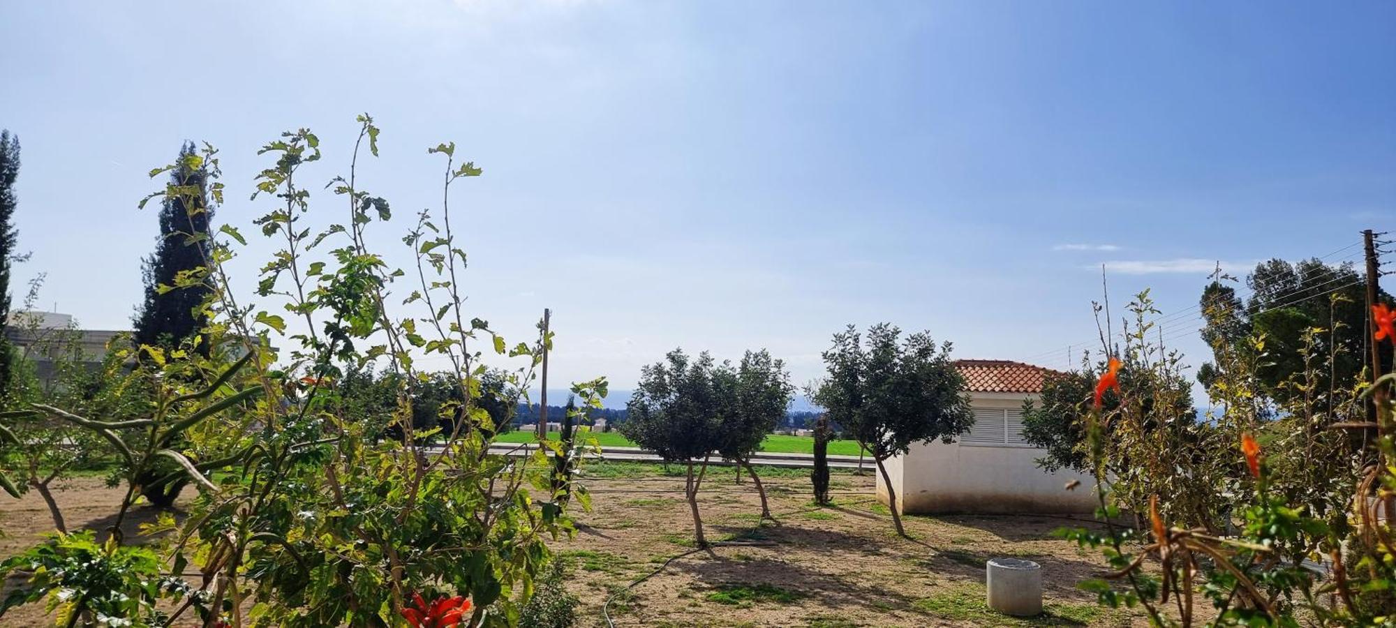 Shanti Paphos Villa Extérieur photo